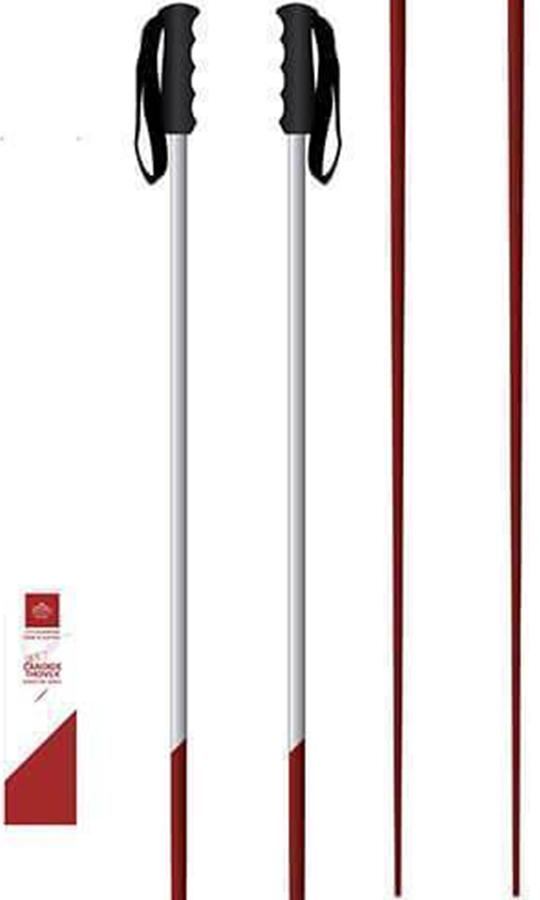 Faction Candide Thovex Pair of Ski Poles